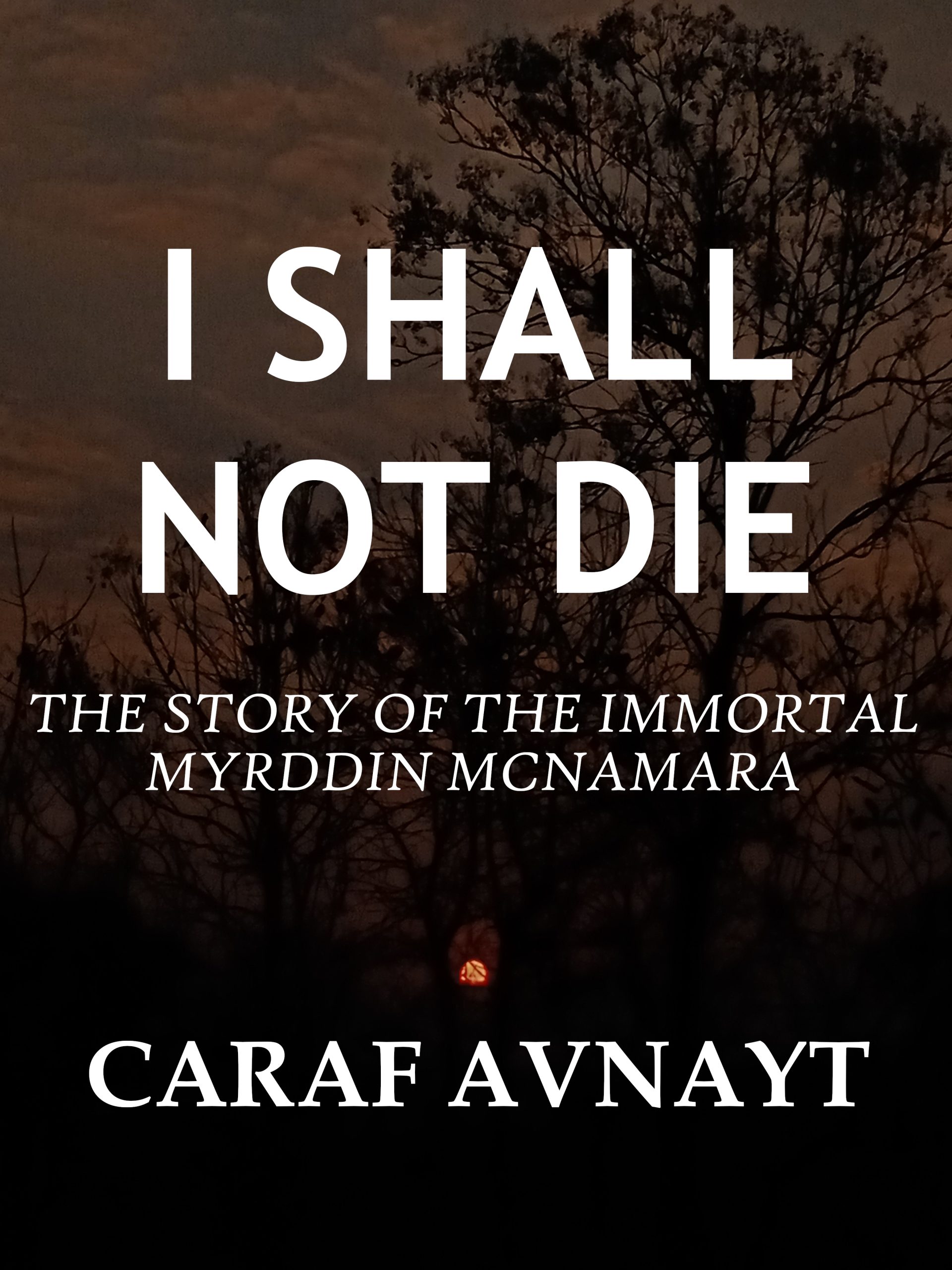 I Shall Not Die – The Story of Immortal Myrddin McNamara