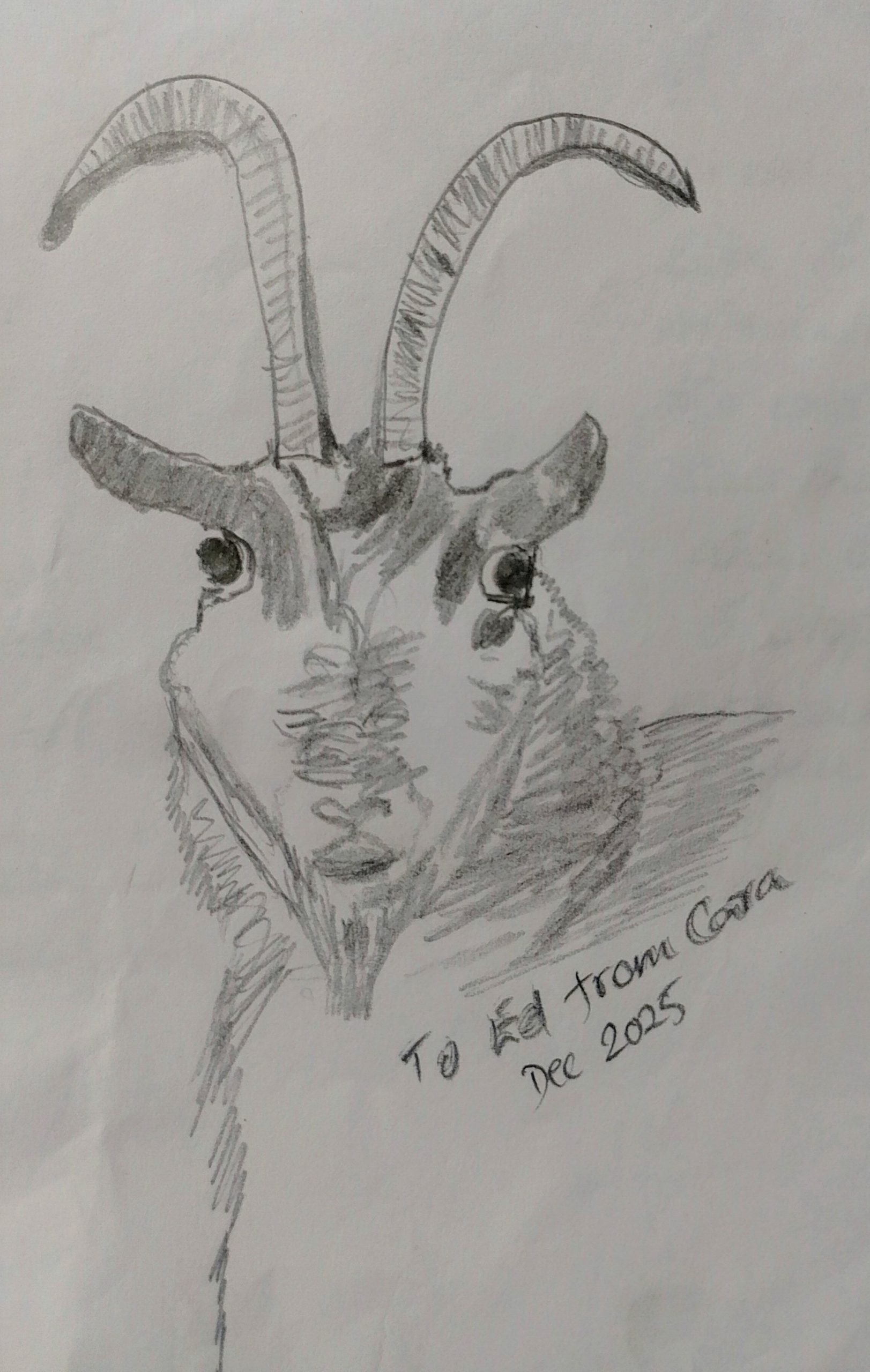 Message from Matty, the Goat